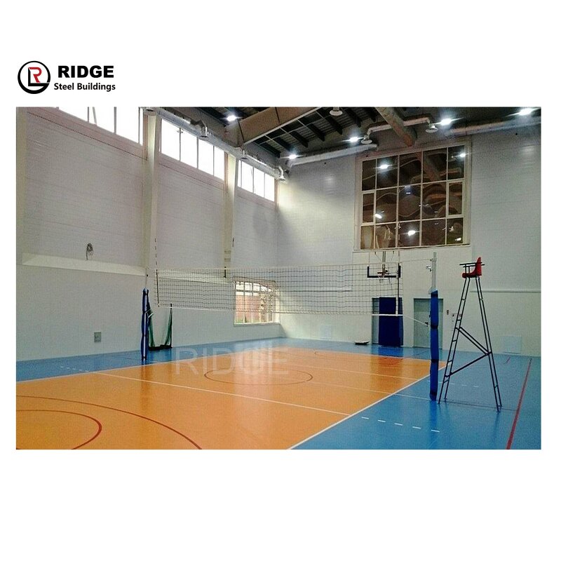 Commercial Building Manufacturer - OEM/ODM Prefabricated Steel Structure Farm Storage Light Type