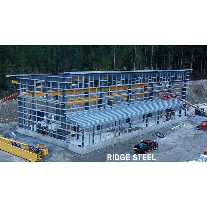 Prefabricated Warehouse Factory - OEM/ODM High Rise Waterproof Low Cost Industrial Workshop Metal