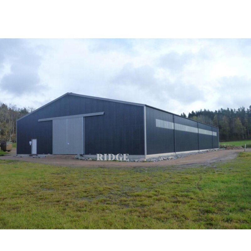 Self Storage Building Manufacturer - OEM/ODM China Steel Warehouse Prices Workshop Commercial