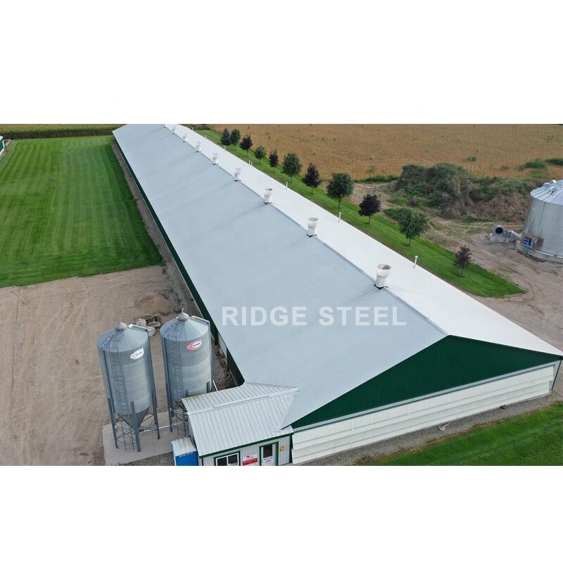 Prefab Steel Structure Factory - OEM/ODM 2023 Chinese Low Prices Warehouse Workshop Building