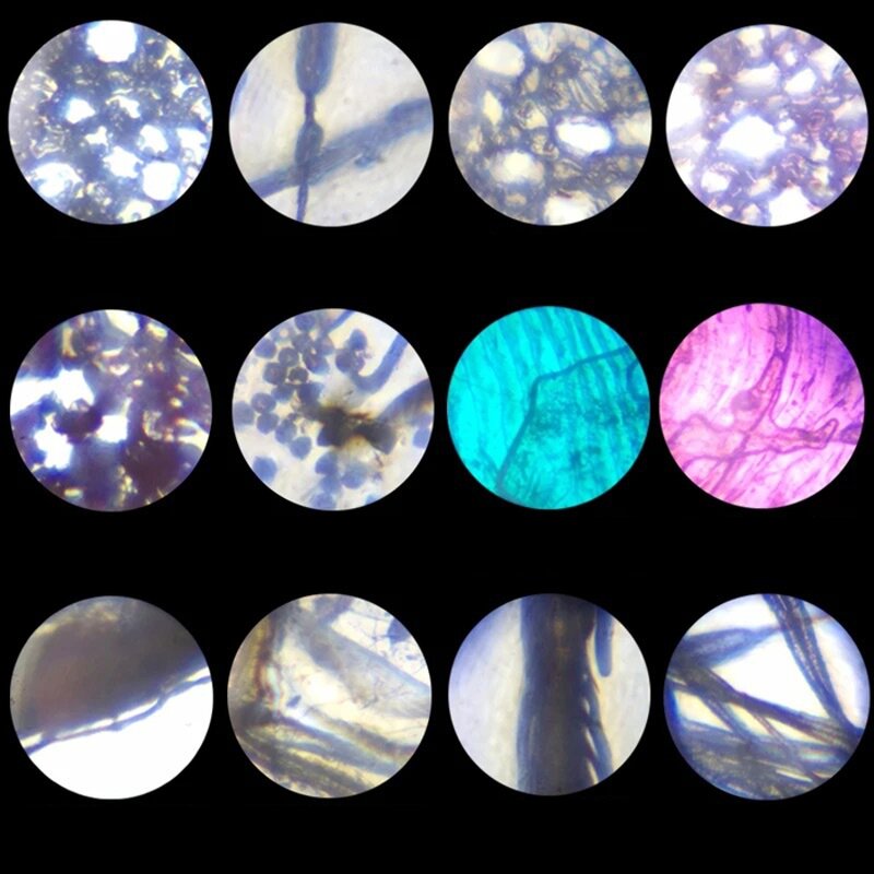 Mini Optical Microscope Supplier - 2020 Laboratory Set Camera Phone 60x