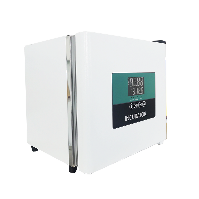 Portable Incubator Factory - OEM/ODM IKEME Laboratory Digital Small Bacteria Incubation Biological