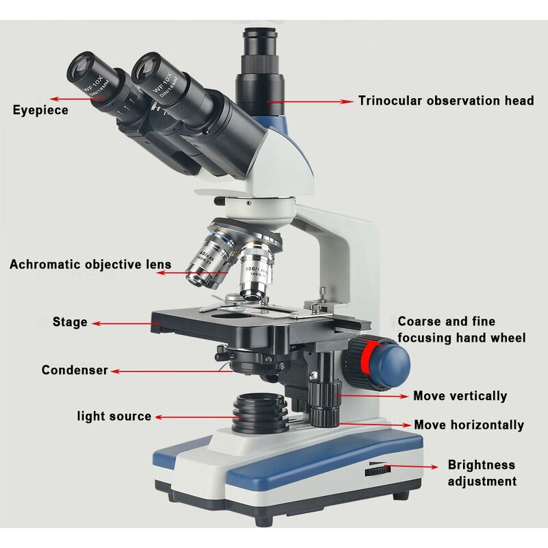 Electron Microscope Manufacturer - OEM/ODM IKEME Lab Optical Instruments Microscopio Binocular Digital