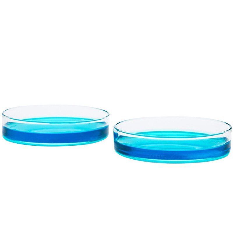 Borosilicate Petri Dish Factory - OEM/ODM IKEME 60-200mm Glass Bacterial Tissue Cell Culture