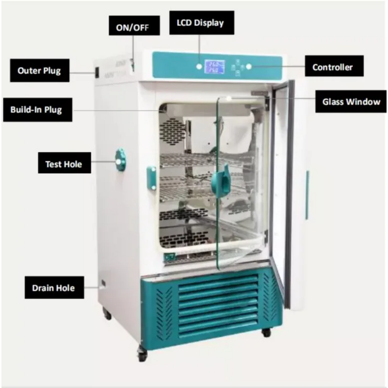 Refrigerated Incubator Factory - OEM/ODM IKEME Laboratory Cooling Incubator Microbiology Mildew Biochemical