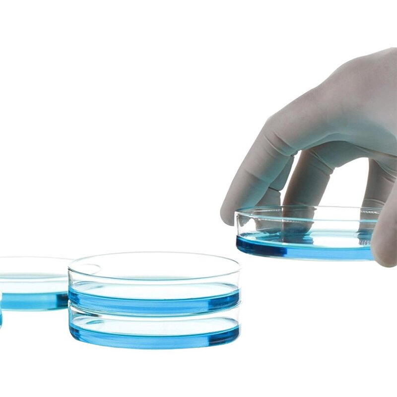 Borosilicate Petri Dish Factory - OEM/ODM IKEME 60-200mm Glass Bacterial Tissue Cell Culture