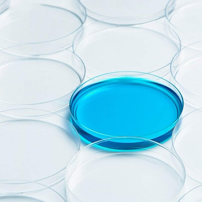 Borosilicate Petri Dish Factory - OEM/ODM IKEME 60-200mm Glass Bacterial Tissue Cell Culture