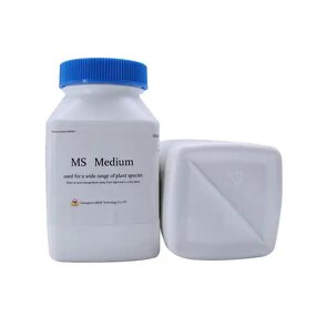 Modified MS Medium Factory - OEM/ODM IKEME Microbiology Culture Media Wadosky Tissue Culture