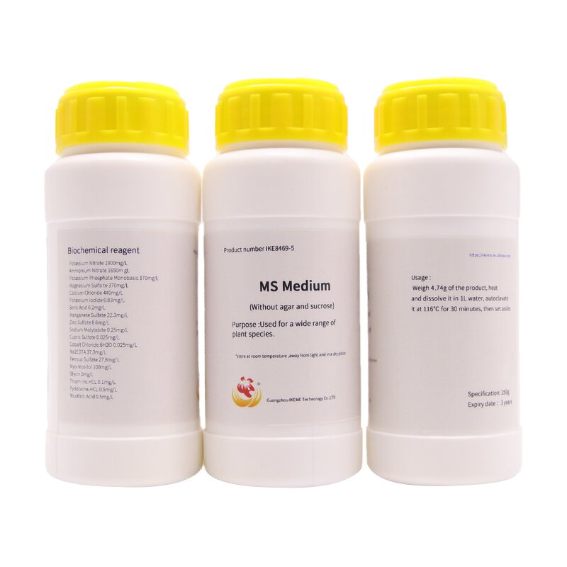 PDA Culture Medium Factory - OEM/ODM Lab Application Free Sample Potato Dextrose Agar MS