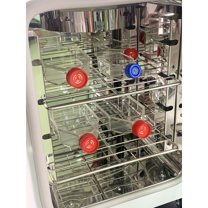 Constant Temperature Incubator Manufacturer - OEM/ODM IKEME Professional Thermostatic Devices LCD Display