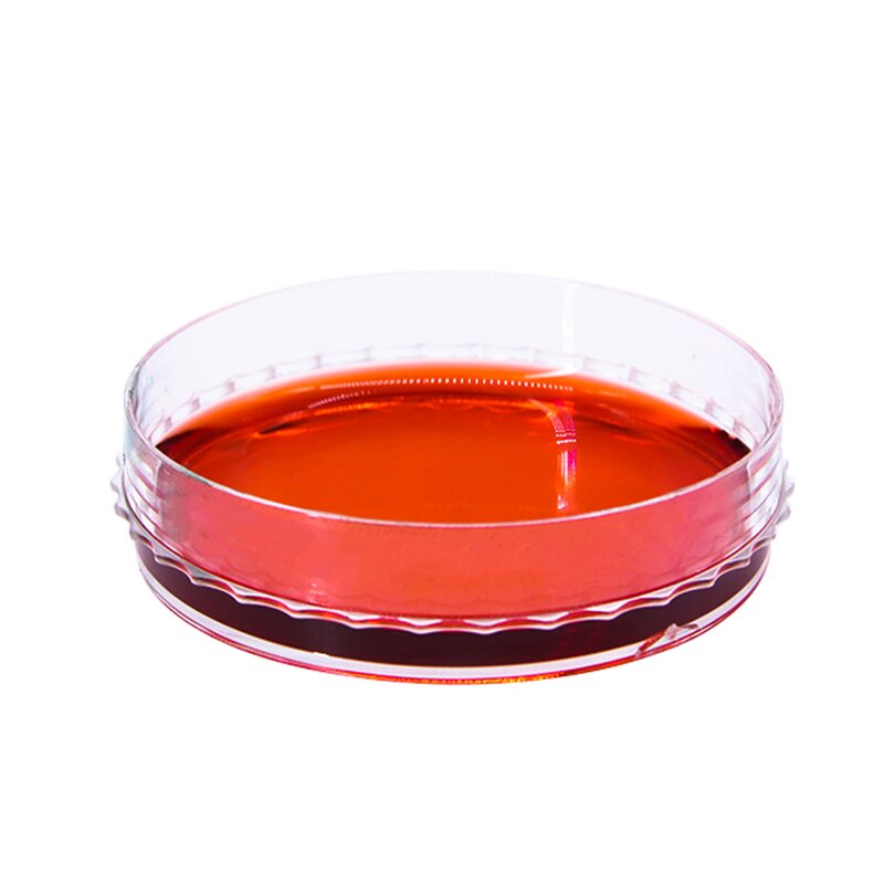 Glass Petri Dish Manufacturer - OEM/ODM 60-180mm for Laboratory and Research