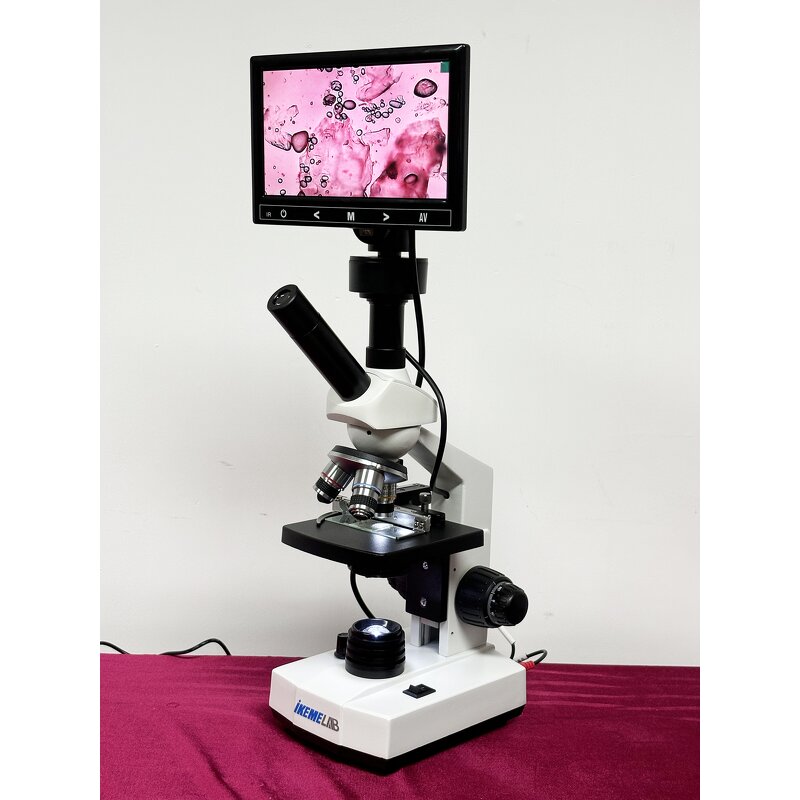 Cheap Microscope Factory - OEM/ODM IKEME Student Digital Electron Microscopio Camera Trinocular