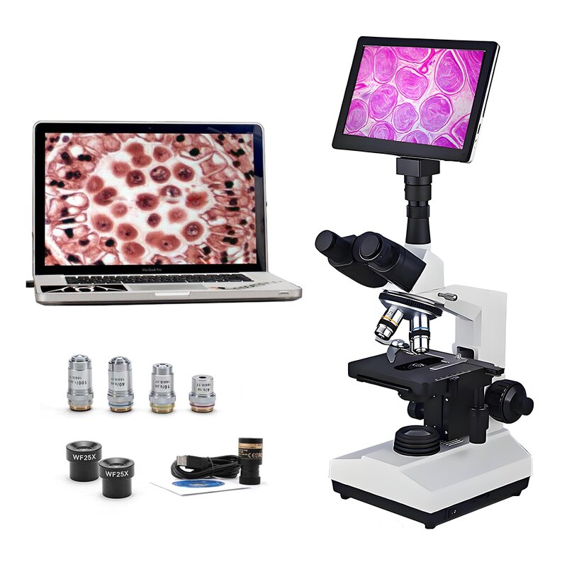 Biological Microscope Manufacturer - OEM/ODM IKEME Laboratory Digital Optical System Mobile Phone