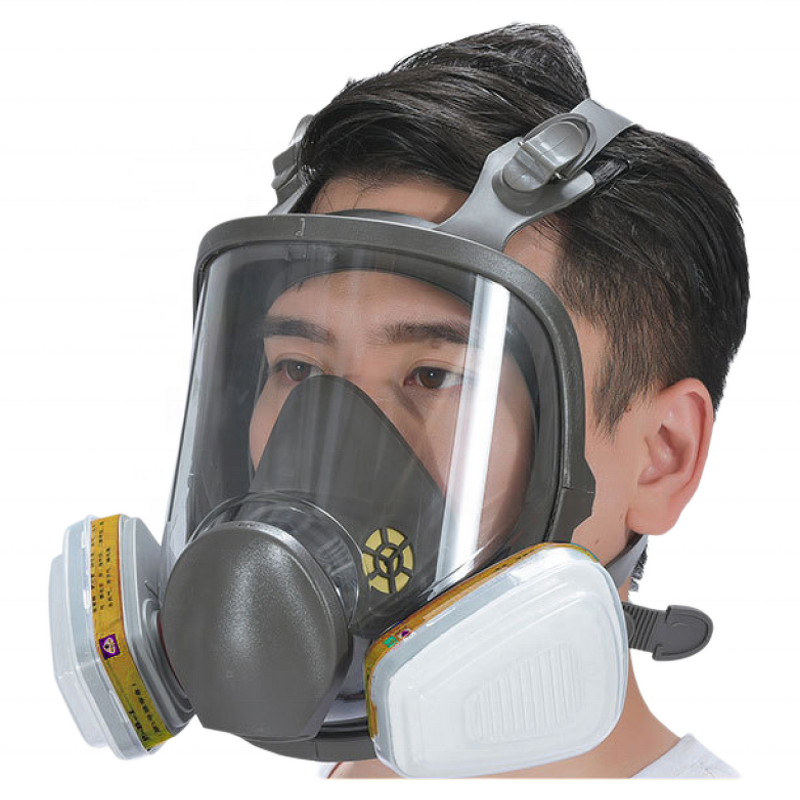Gas Mask Factory - Reversible 6800 Full Face with Activated Carbon Filter