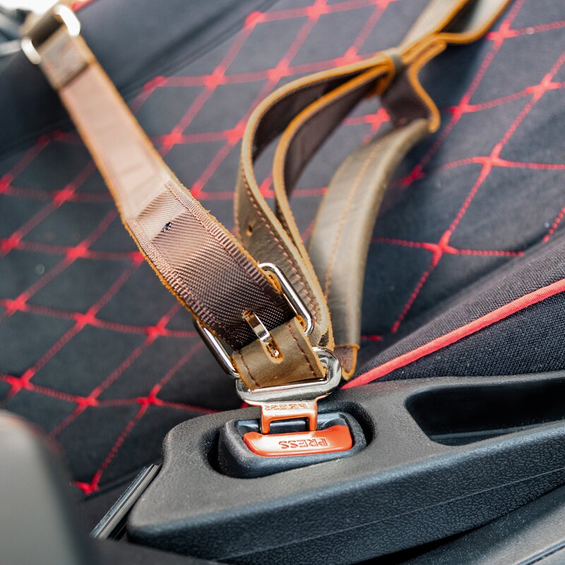 Leather Pet Harness Supplier - Genuine Real Leather Walk the Dog Hunting Golden