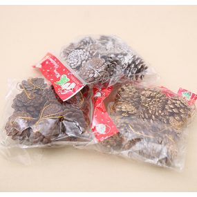 Pine Cones Factory - OEM Mini Snow Christmas Colored Paint Hanging Pendants