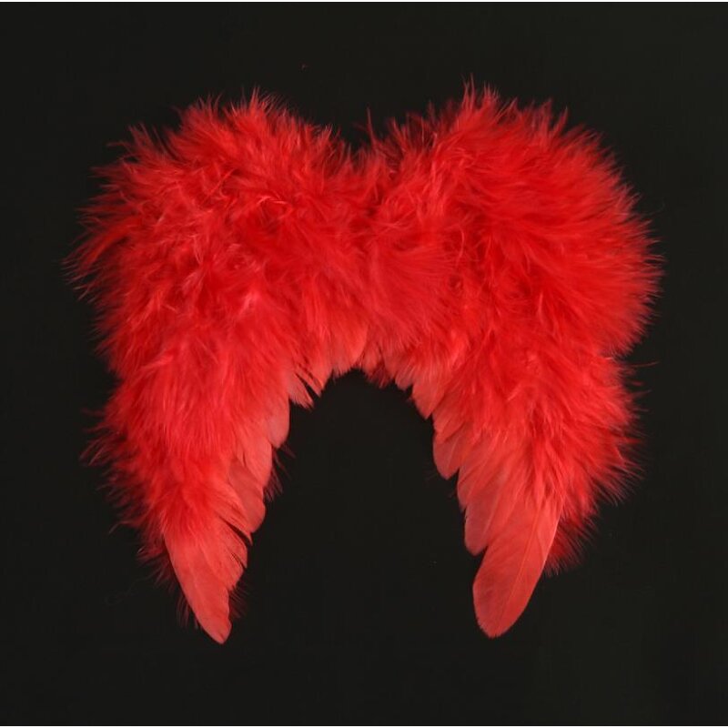 Angel Wings Factory - OEM Feather Newborn Photography Fairy Photoshoot