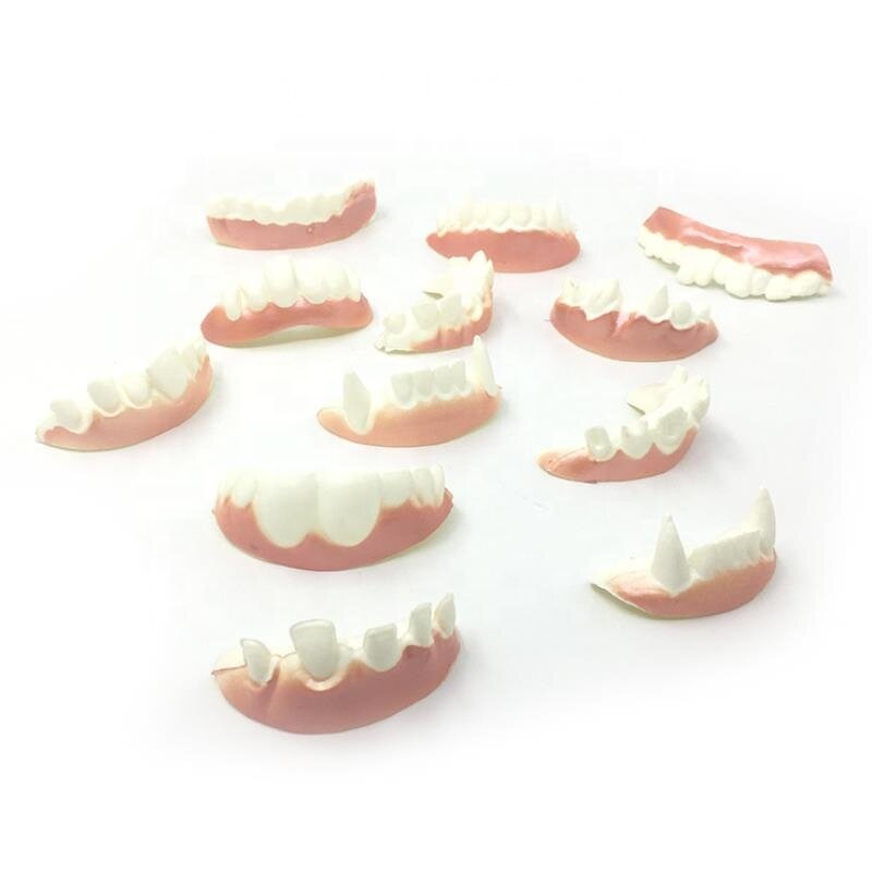 Vampire Teeth Factory - OEM Party Dentures Zombie Buck Teeth Prank Trick