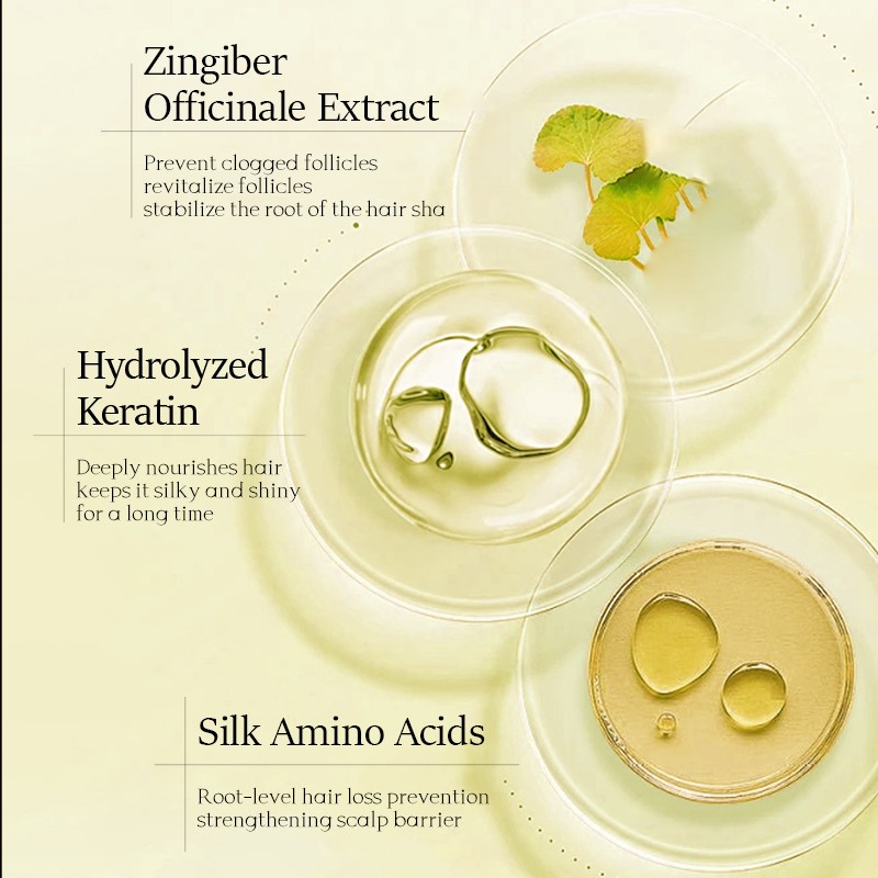 Hair Conditioner Manufacturer - OEM Bpom Approved Ginger Anti-Hair Loss