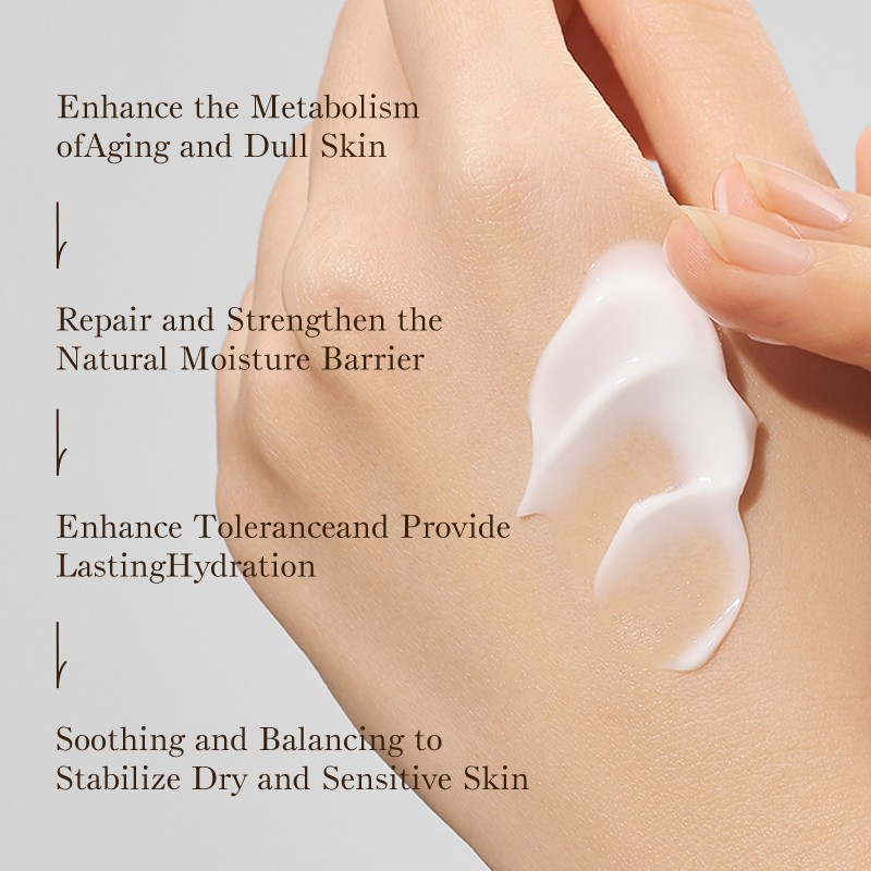 Hand Cream Set Manufacturer - OEM Floral Fruity Lip Balm Combo