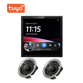 Control Panel Supplier - OEM/ODM 2025 4 Inch Tuya Zigbee Touch Screen Home Theatre