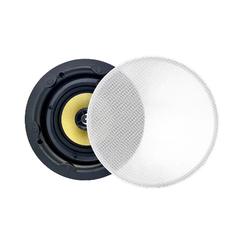 Ceiling Speaker Factory - OEM/ODM 5.25 Inch Wireless Mini Perfect Sound for Shower Room
