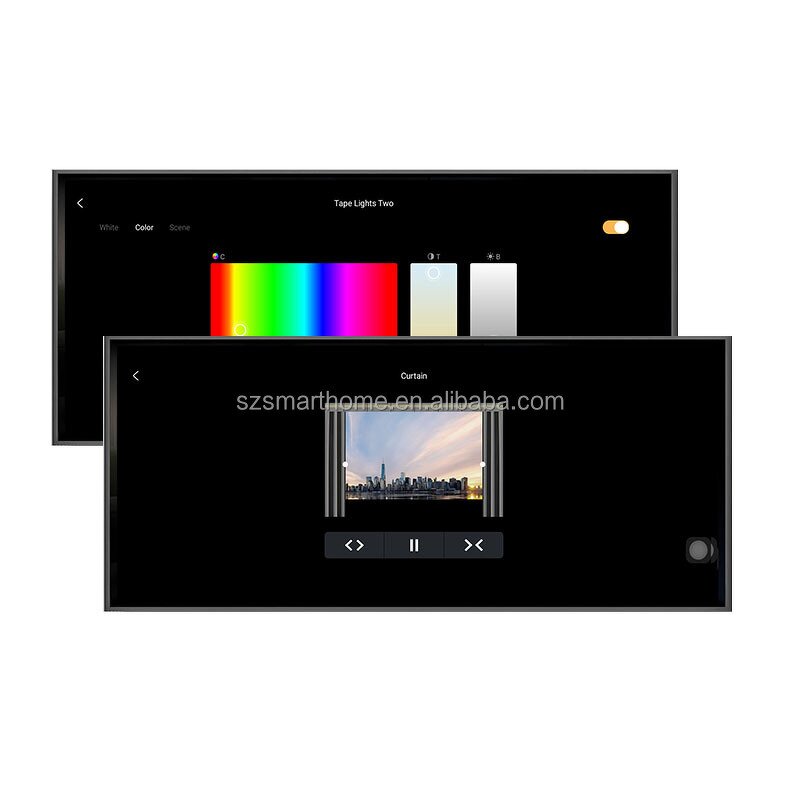 Smart Control Panel Supplier - OEM/ODM 12-Inch Tuya Zigbee 2-Channel Amplifier Touch