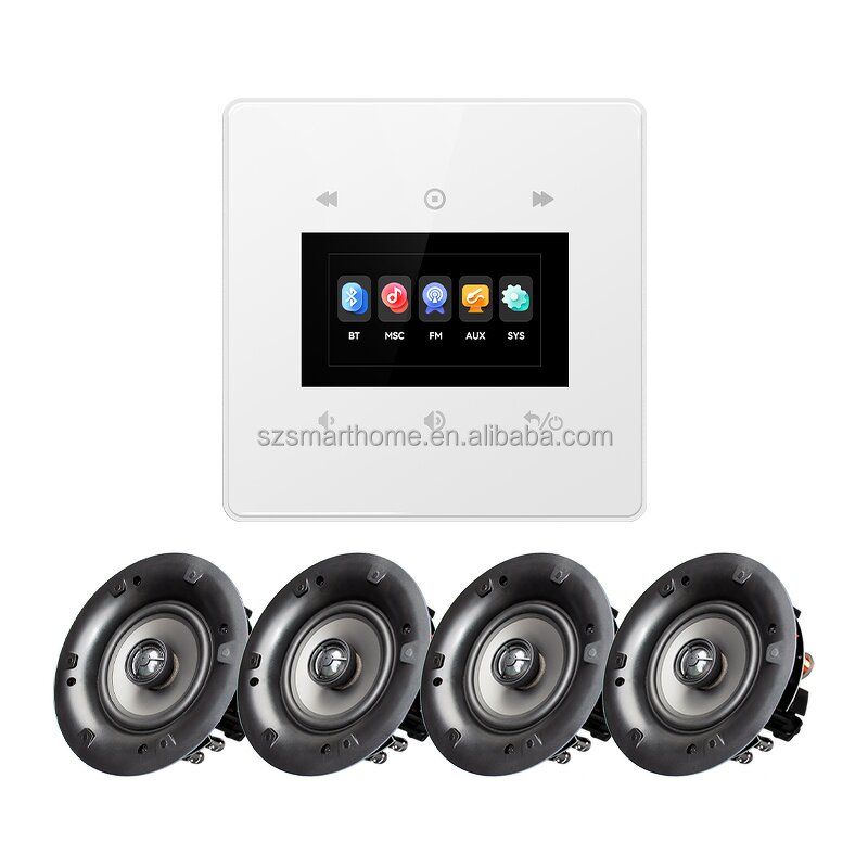 Music Host Supplier - OEM/ODM 4-Inch IPS Smart Music Remote Control 2x25W Wall