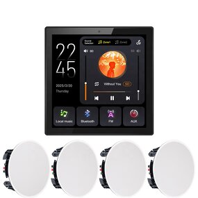 Background Music System Supplier - OEM/ODM 4.0-4.9" 20W Dual-Zone 86mm Flush-Mount FM