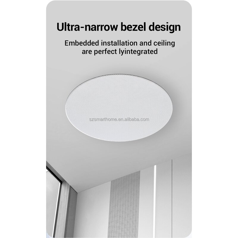 Wireless Ceiling Speaker Factory - OEM/ODM 5.25 Inch Master Speaker OLED BLE Slave Amplifier