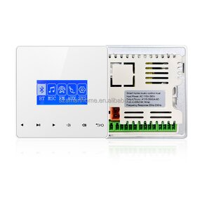 Music Host Manufacturer - OEM/ODM 4 Inch Intelligent Background Music with FM Radio