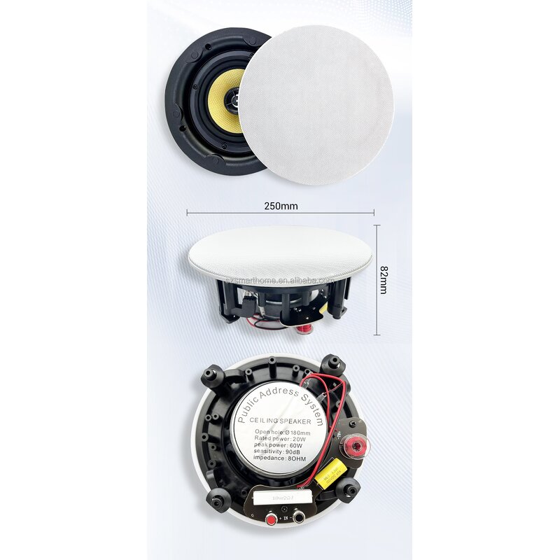 Ceiling Speaker Factory - OEM/ODM 5.25 Inch Wired Ceiling Speaker 20W Wireless Amplifier
