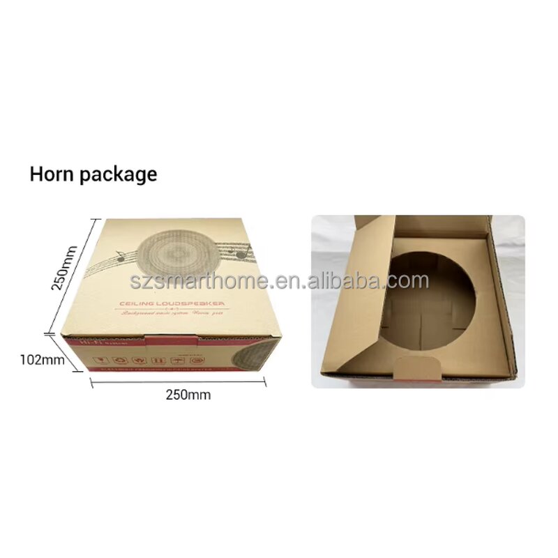 Ceiling Speaker Factory - OEM/ODM 5.25 Inch Wired Ceiling Speaker 20W Wireless Amplifier