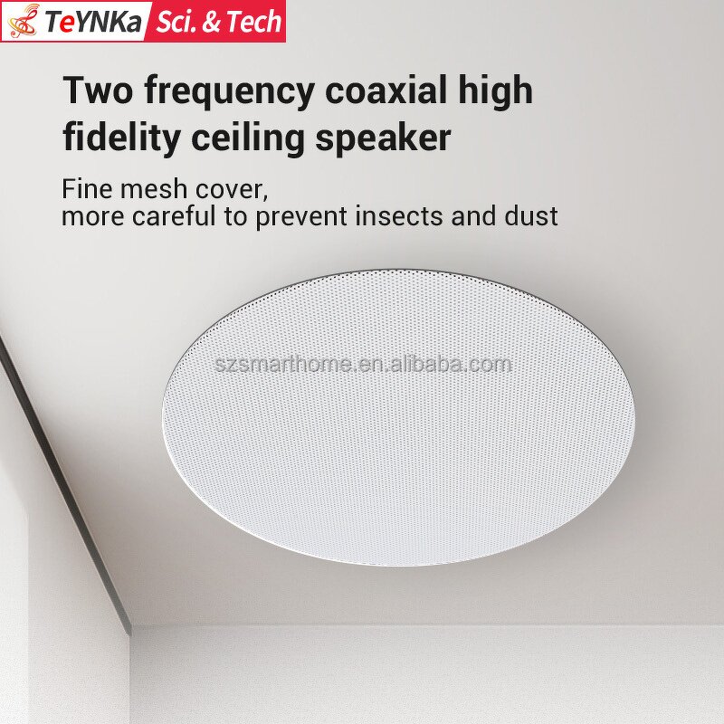 Passive Ceiling Speakers Supplier - OEM/ODM 5.25 Inch Passive Hifi Ceiling Speakers Wall