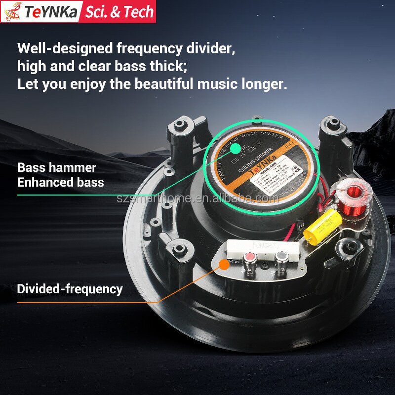 Ceiling Speakers Factory - OEM/ODM 5.25 Inch Passive Hifi Ceiling Speakers New Design