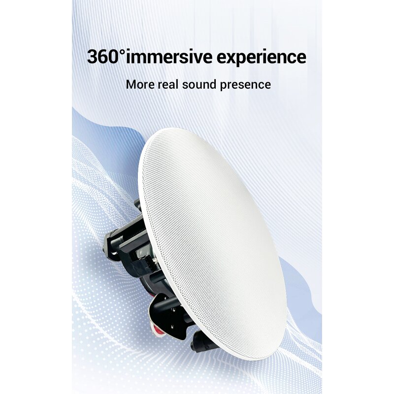 Wireless Ceiling Speaker Manufacturer - OEM/ODM High Quality 5.25 Inch Master OLED BLE