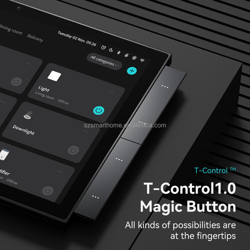 Control Panel Factory - OEM/ODM 10.1 Inch All-in-One Home Automation Central Panel