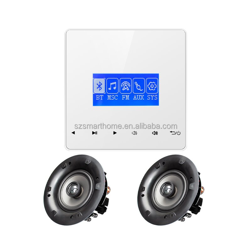 Music Host Factory - OEM/ODM 4-Inch Background Music Host with FM Radio Control