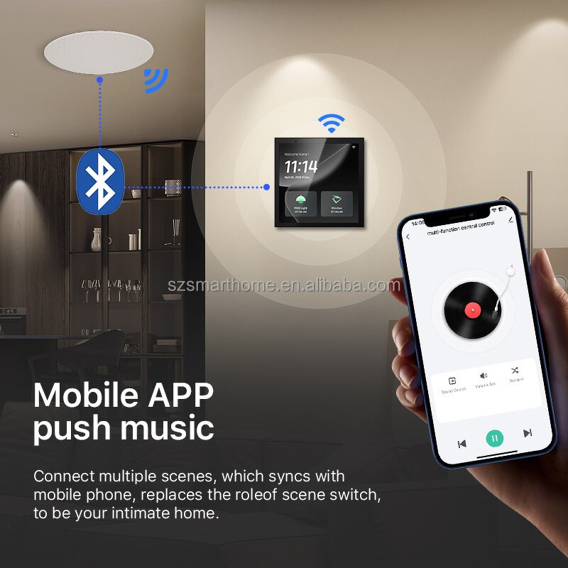 Smart Home Center Panel Supplier - OEM/ODM 2025 Tuya 4 Inch IPS Screen Alexa Google Home