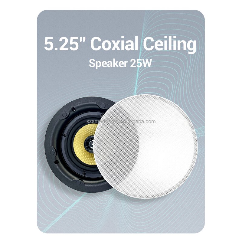 Wireless Ceiling Speaker Supplier - OEM/ODM High Quality 5.25 Inch Master OLED BLE Slave