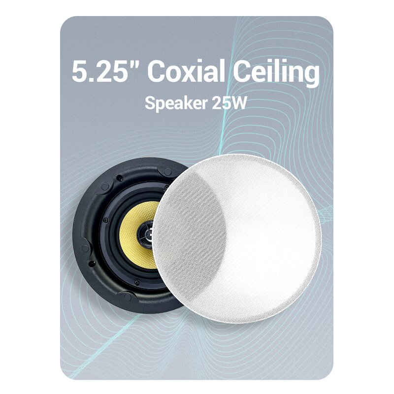 Wireless Ceiling Speaker Manufacturer - OEM/ODM High Quality 5.25 Inch Master OLED BLE