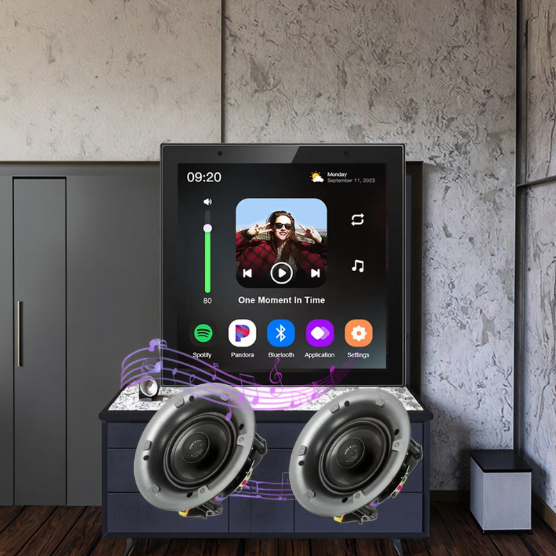 Stereo Amplifier Manufacturer - OEM/ODM 4 Inch WiFi Smart 2 Channel 2X25w Touch Screen