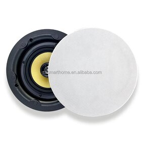 In-Wall Amplifier Manufacturer - OEM/ODM 5.25 Inch OLED BLE Wireless Music Amplifier