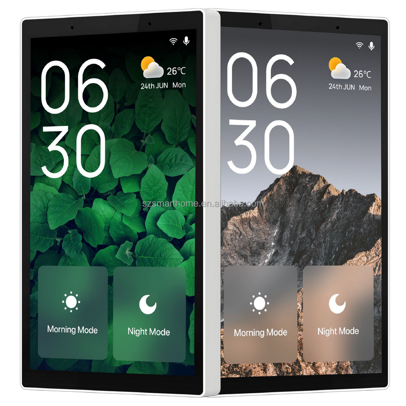 Touch Panel Manufacturer - OEM/ODM 5 Inch US Standard Touch Screen Alexa Voice Assistant