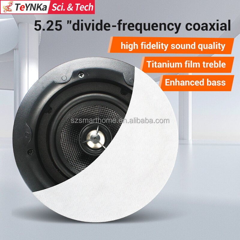 Passive Ceiling Speakers Supplier - OEM/ODM 5.25 Inch Passive Hifi Ceiling Speakers Wall