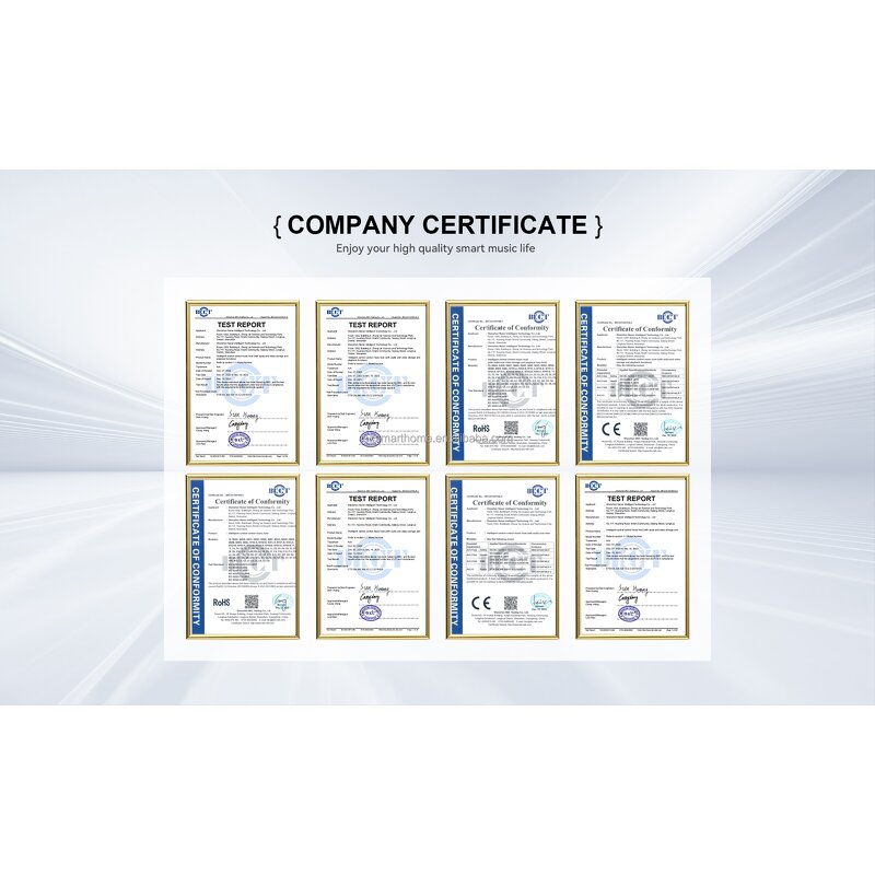 Music Host Supplier - OEM/ODM Remote Touch Control Wi-Fi Wall Mount Amplifier 2-Zone