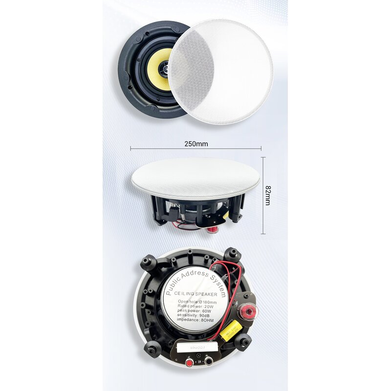 Wireless Ceiling Speaker Manufacturer - OEM/ODM High Quality 5.25 Inch Master OLED BLE