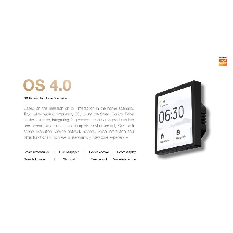 Smart Control Panel Manufacturer - OEM/ODM Tuya EU Standard IPS Touch Screen Alexa Switch