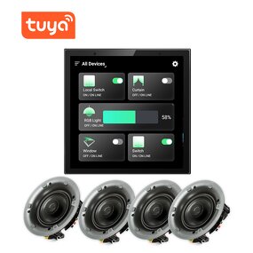 Control Panel Factory - OEM/ODM 4 Inch Multi-Function Smart Touch Screen Alexa Zigbee