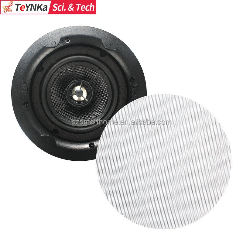 Ceiling Speakers Factory - OEM/ODM 5.25 Inch Passive Hifi Ceiling Speakers New Design